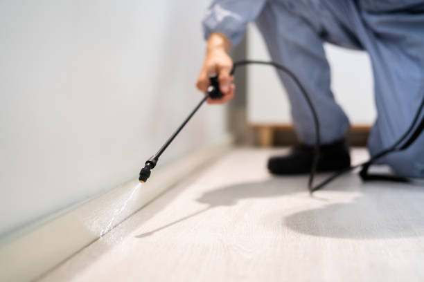 Licensed Pest Control service in Overton, TX - Show Me Pest Control