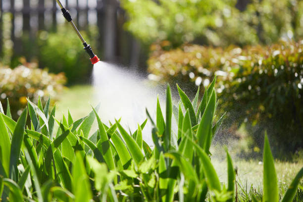 24/7 Emergency Wasp Removal experts in Overton, TX