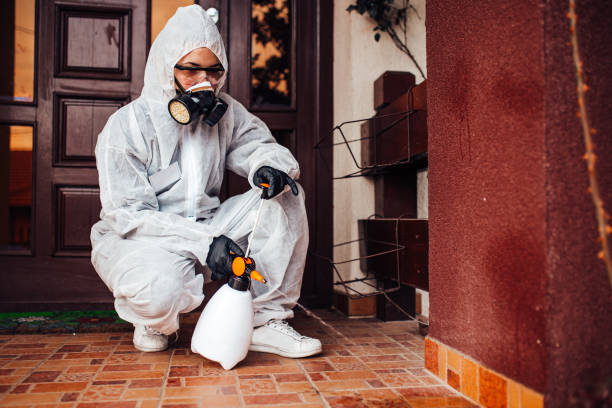 Reliable Wasp Removal contractor in Overton, TX by Show Me Pest Control